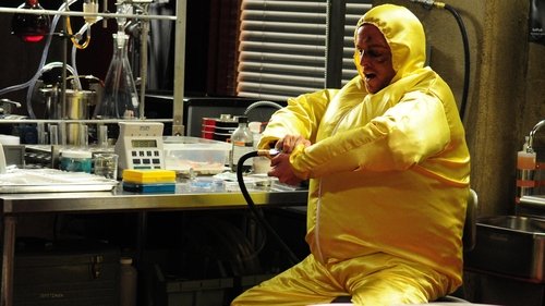 Breaking Bad 3. Sezon 8. Bölüm